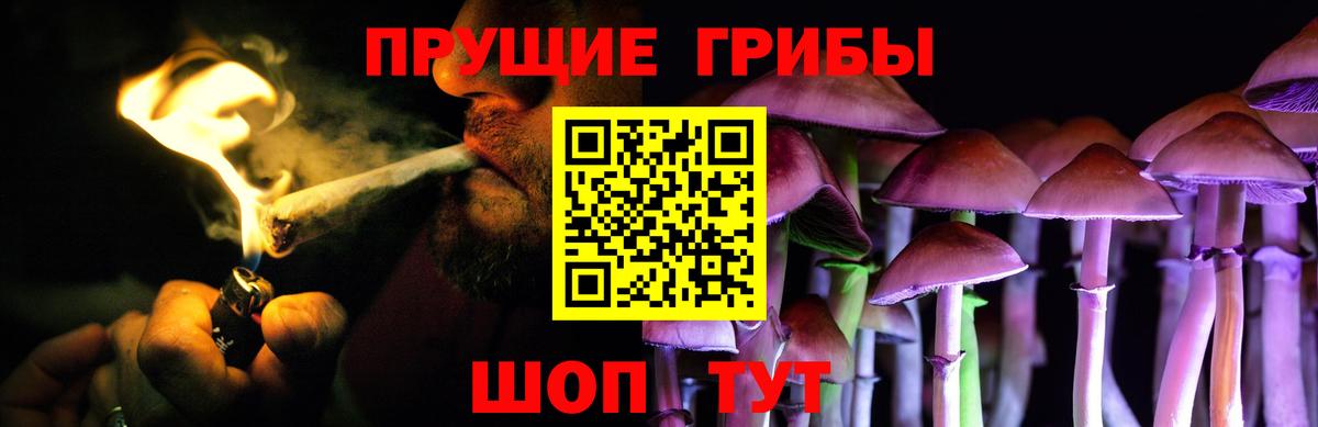 Псилоцибиновые грибы Psilocybine cubensis  Вход с VPN  Реж 